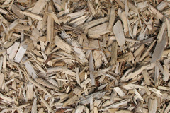 biomass boilers Penmaen